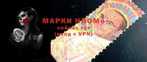 индика Бронницы