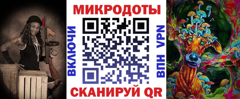 Псилоцибиновые грибы Psilocybine cubensis  Гудермес 
